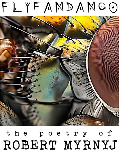 Just another WordPress site